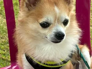 10月14日 手術翌日