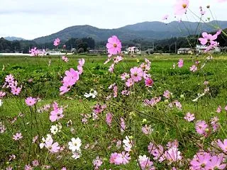 宿確保のお試しドライブ
