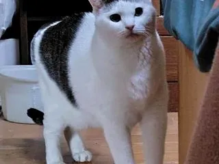 めっちゃ疲れたぁ～(;´Д｀)