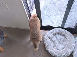 ハマったろう。