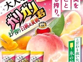 赤城乳業ガリガリ君5個が100名様に当た…