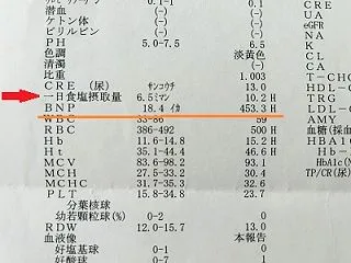 循環器科 受診日