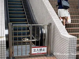 大阪街猫2016 / Osaka Str…