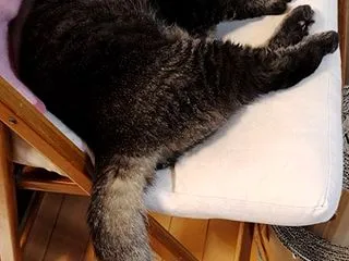 面白かったのは