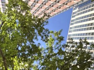 丸の内で、秋冬コレクション。✨