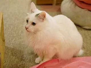 7年前①