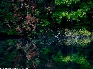 初秋の水辺