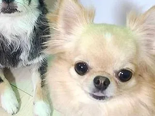 お誕生日おめでとうごさざいます♪