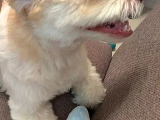 心配事