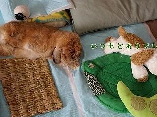 いつもどおりでしょー