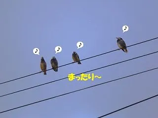 大騒ぎは原因不明
