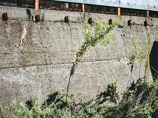 開花間近。