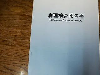 病理検査