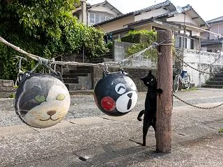 じーっ。