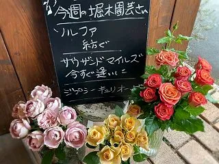 お迎えした子達より♪