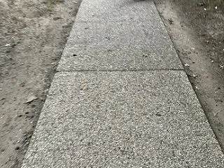 別の公園探索のももさん