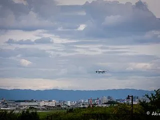 伊丹スカイパーク 2026 -1-