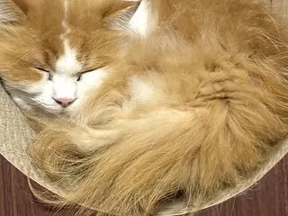 まだ１カ月なんだね(T_T)