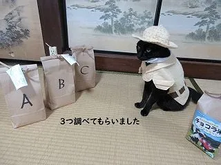 令和８年産チョコラ米、食味値出ました～♪