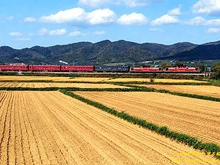 124列車 8時間2分の旅路