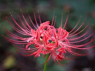 10月14日