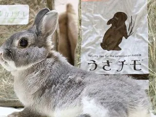 フェアでお得に牧草Get！牧草最新情報v…