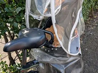 チャイルドシート
