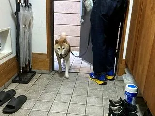 風物詩
