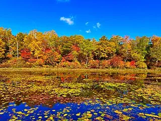 渋峠の秋🍂