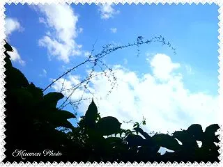 もう 脱線ばかりでございます (*･艸･…