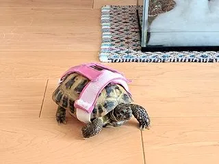夏眠終わりました