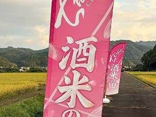 朝の散歩コースにピンクの幟♪