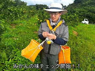 糖度検査！！