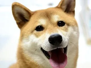ストレッチで痛みが引くのは気持ちいい。