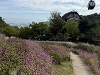 布引の滝。過ぐ世現つ世紡ぐ糸MM766