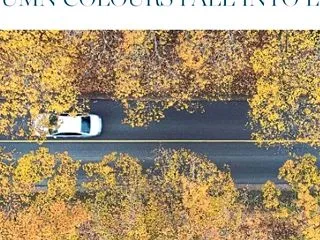 10月14日 自転車専用レーン撤去始まる…