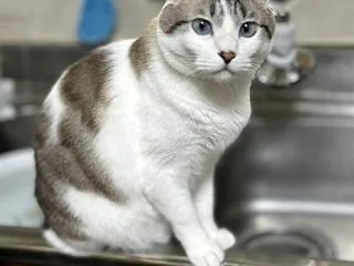 濡れてもいいの？