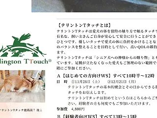 11月12月の予定【シニア犬のためのテリ…