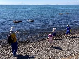 海へ それから芋ほり体験
