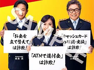 ナポ君メール 詐欺の電話【橿原市・NTT…