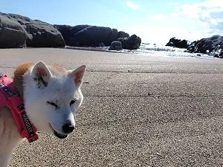 館山の温泉があるキャンプ場へ①