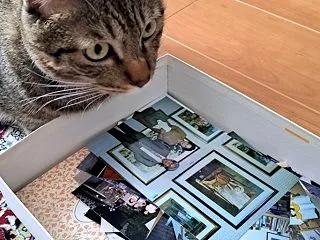 大量の写真整理！