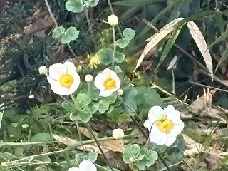 【断捨離】引っ越しは最大のチャンス！