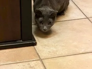 もうっ！！