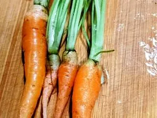 人参の間引き菜で作る“畑のチキンライス”