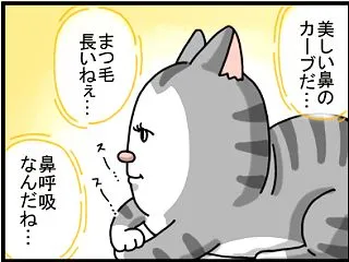 猫ってぼーっとしながらつい観察しちゃう