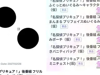 ⭐2027年のプリキュアがまた中国から画…