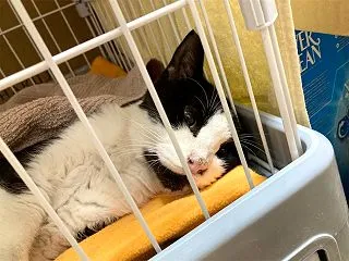 アゴの異変③