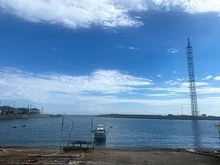 魚をきれいに食う男