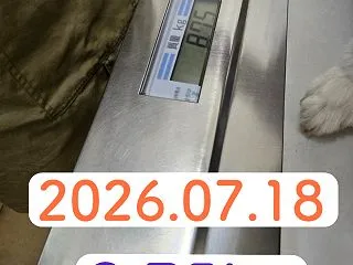 どこでもおでかけ～セットアップは完了～